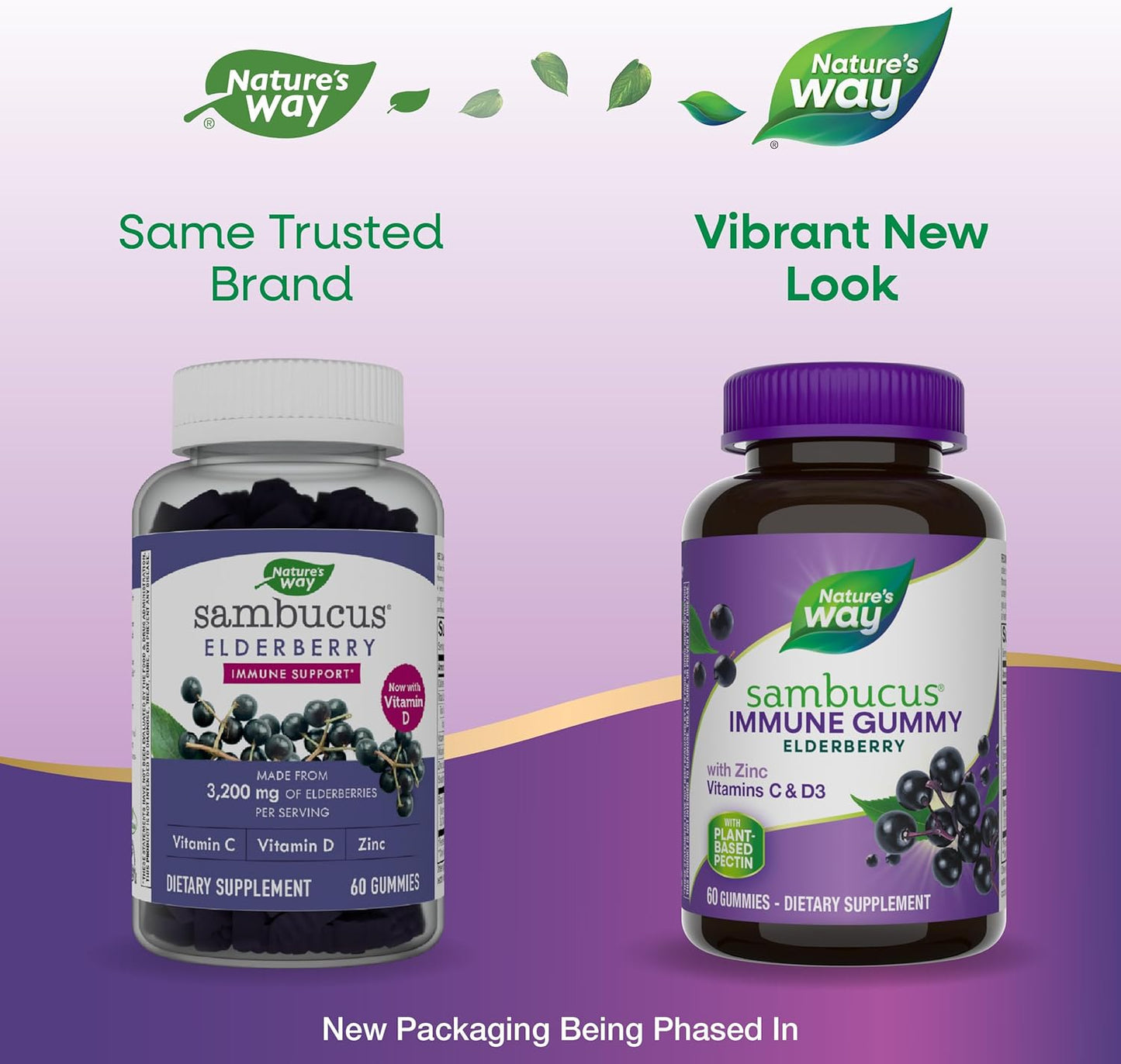 Nature’s Way Sambucus Elderberry Immune Gummies, Daily Immune Support for Kids and Adults*, with Vitamin C, Vitamin D3, Zinc, Gluten Free, Vegetarian, 60 Gummies (Packaging May Vary)